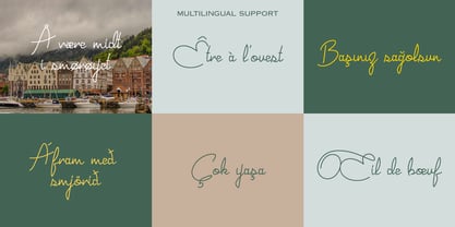 Joyeux Script Font Poster 7