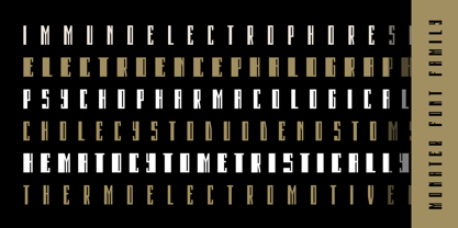 Monateb Font Poster 12