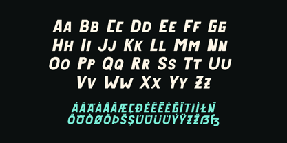 Reiseburo Display Font Poster 7