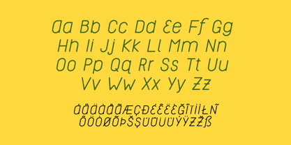 Reiseburo Display Font Poster 9