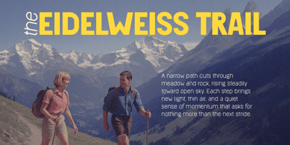 Reiseburo Display Font Poster 11