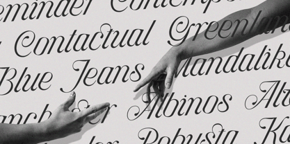 Hottest Springs Variable Pro Font Poster 3
