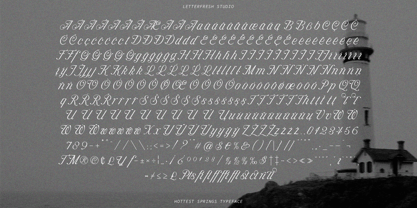Hottest Springs Variable Pro Font Poster 10