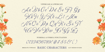 Bredlive Font Poster 4