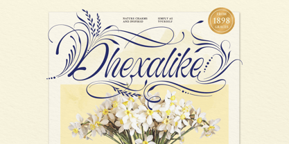 Bredlive Font Poster 3