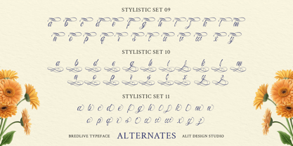 Bredlive Font Poster 10