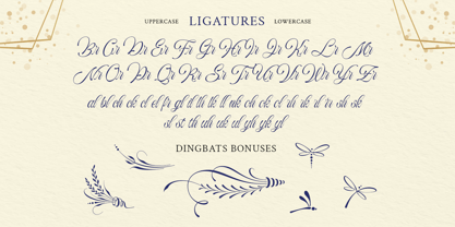 Bredlive Font Poster 13