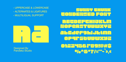 Sunny Chunk Font Poster 9