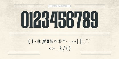 Arexa Font Poster 6