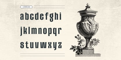 Arexa Font Poster 4