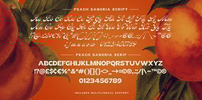 Peach Sangria Font Poster 13