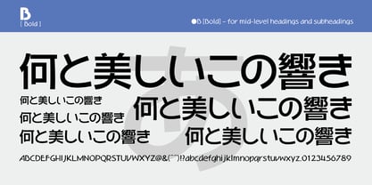 WaonPro Font Poster 12