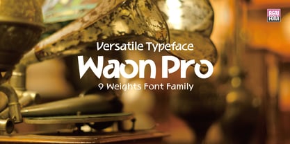 WaonPro Font Poster 1