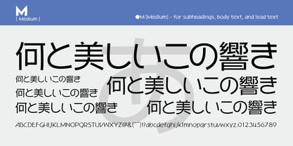 WaonPro Font Poster 11