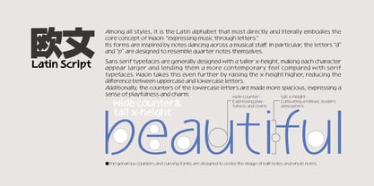 WaonPro Font Poster 6