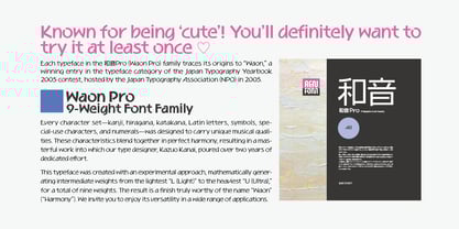 WaonPro Font Poster 3