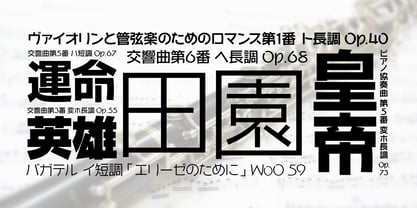 WaonPro Font Poster 9