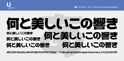 WaonPro Font Poster 13