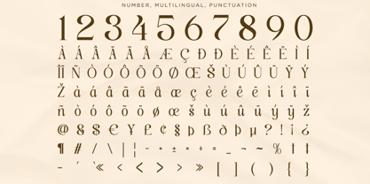 Classy Exclusive Font Poster 13