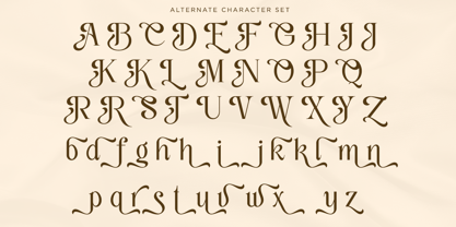 Classy Exclusive Font Poster 12