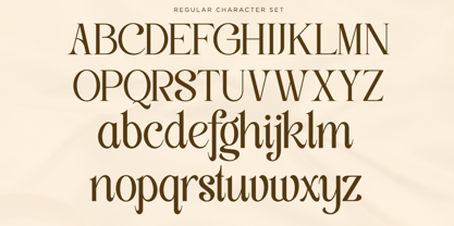 Classy Exclusive Font Poster 11