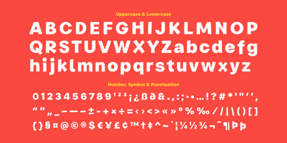 Chunky Chips Font Poster 8