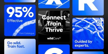 Glyphic Sans Font Poster 9