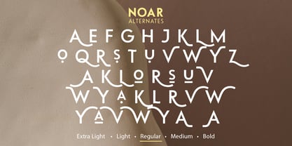 Noar Font Poster 15