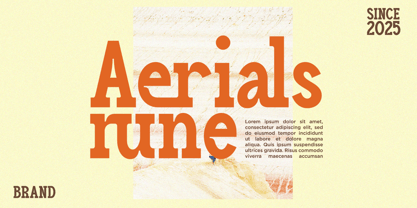 Haleriy Font Poster 2