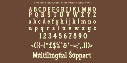 Haleriy Font Poster 10