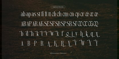 Arkvell Font Poster 12