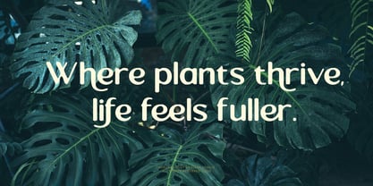 Rorenza Font Poster 9