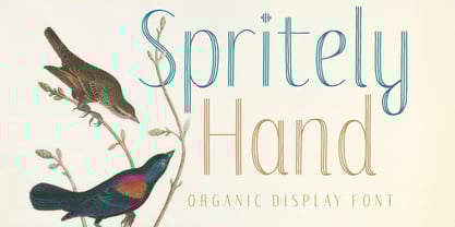 Spritely Hand Font Poster 1