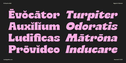 SG Bascho Font Poster 6