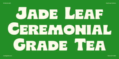 SG Bascho Font Poster 9