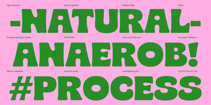 SG Bascho Font Poster 11