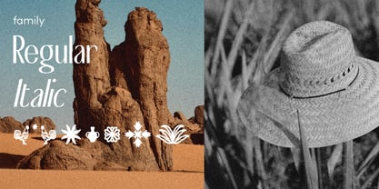 De Martega Font Poster 5