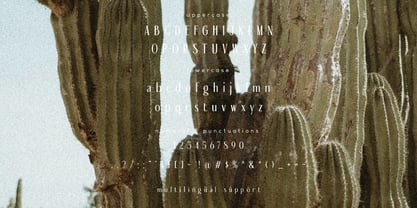 De Martega Font Poster 8