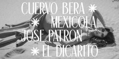 De Martega Font Poster 4