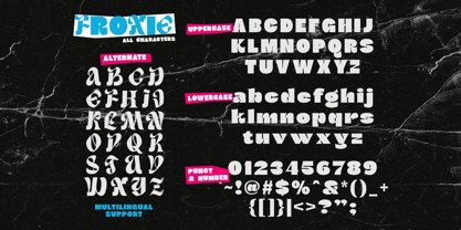 Froxie Font Poster 10