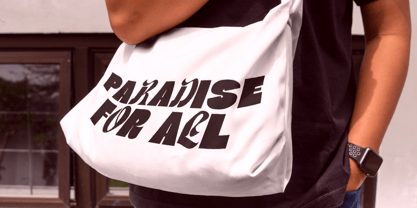 Froxie Font Poster 9