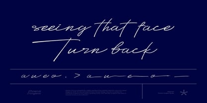 Nadzia Font Poster 9