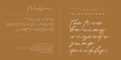 Nadzia Font Poster 8