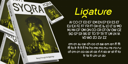 Groonex Font Poster 6