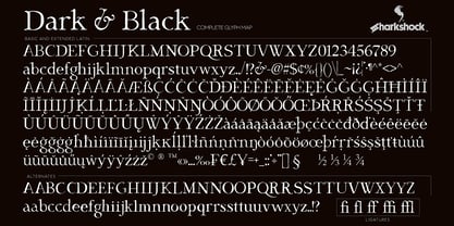 Dark & Black Font Poster 2
