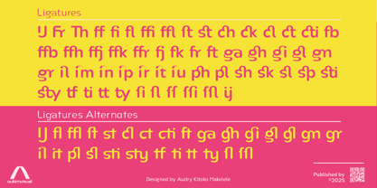 Nsai Pro Rounded Font Poster 8