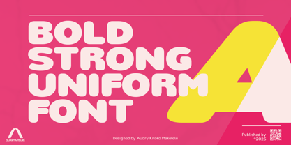 Nsai Pro Rounded Font Poster 3