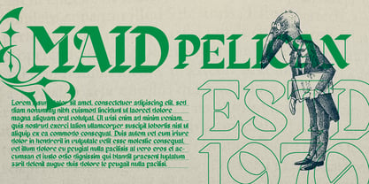 Zaiwo Nobles Font Poster 2