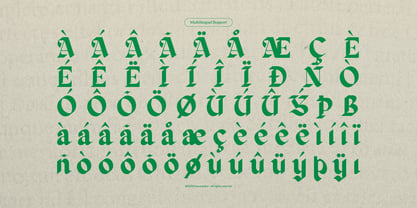 Zaiwo Nobles Font Poster 11