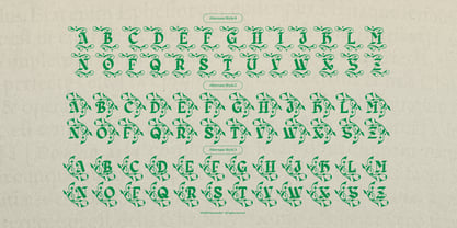 Zaiwo Nobles Font Poster 13